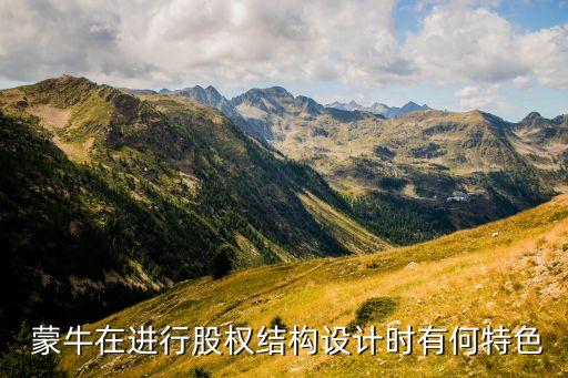  蒙牛在進(jìn)行股權(quán)結(jié)構(gòu)設(shè)計時有何特色