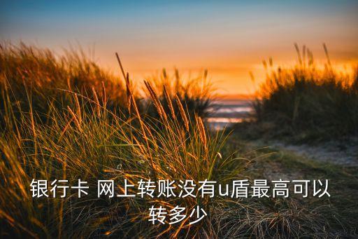  銀行卡 網(wǎng)上轉賬沒有u盾最高可以轉多少