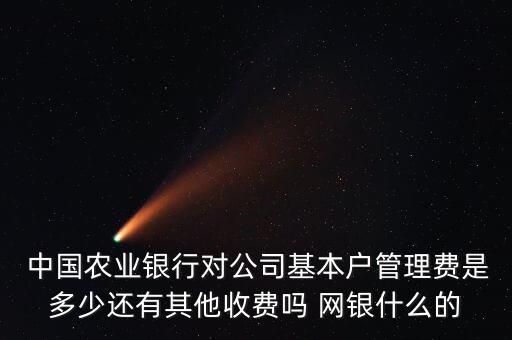  中國農(nóng)業(yè)銀行對公司基本戶管理費(fèi)是多少還有其他收費(fèi)嗎 網(wǎng)銀什么的
