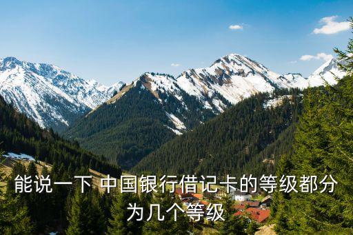 能說一下 中國(guó)銀行借記卡的等級(jí)都分為幾個(gè)等級(jí)