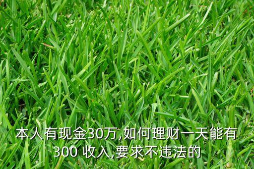 本人有現(xiàn)金30萬(wàn),如何理財(cái)一天能有300 收入,要求不違法的