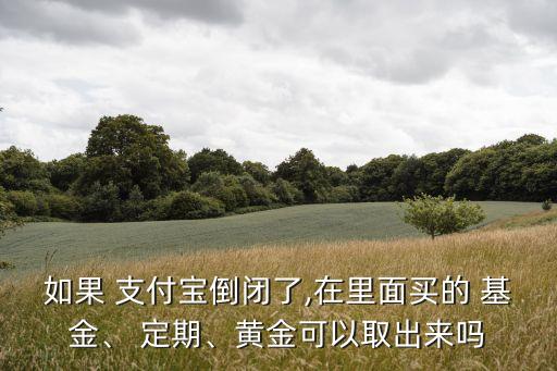 如果 支付寶倒閉了,在里面買的 基金、 定期、黃金可以取出來(lái)嗎