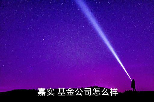 嘉實基金薪水,嘉實服務基金070006