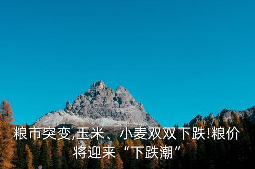 糧市突變,玉米、小麥雙雙下跌!糧價將迎來“下跌潮”