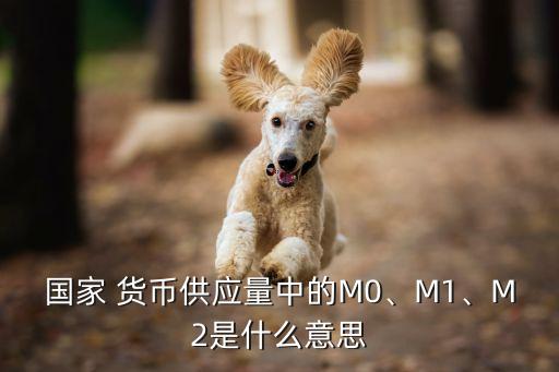 國家 貨幣供應(yīng)量中的M0、M1、M2是什么意思