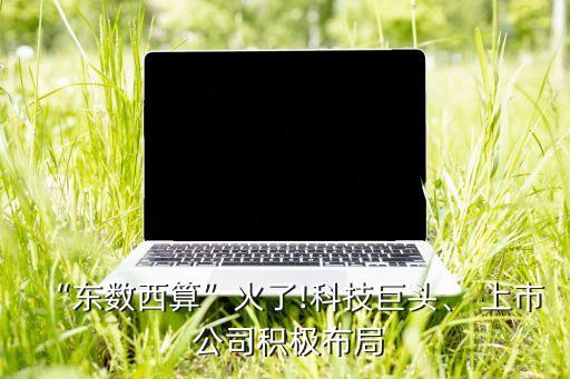 “東數(shù)西算”火了!科技巨頭、 上市 公司積極布局