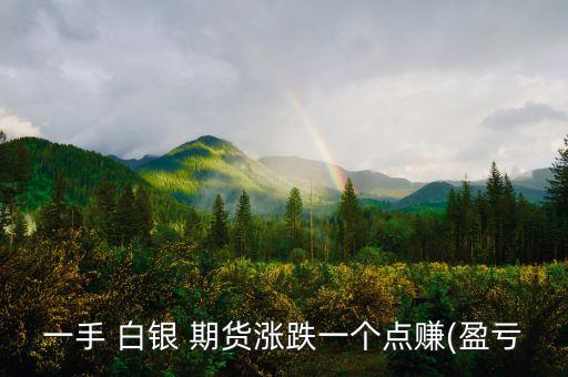 一手 白銀 期貨漲跌一個(gè)點(diǎn)賺(盈虧