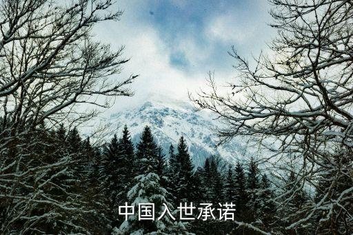 中國(guó)入世承諾