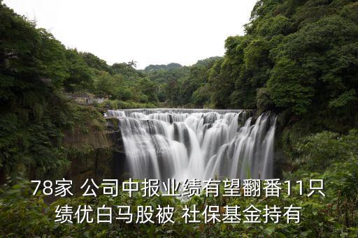 78家 公司中報業(yè)績有望翻番11只績優(yōu)白馬股被 社?；鸪钟? class=