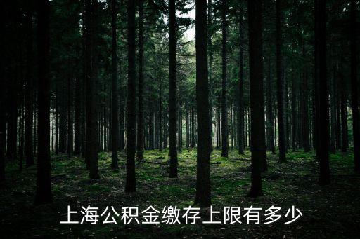 本月上海公車(chē)額度,上海公車(chē)拍牌價(jià)格本月