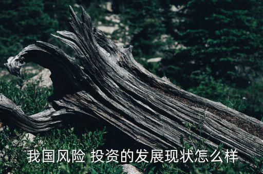  我國風險 投資的發(fā)展現狀怎么樣