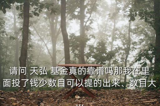 請問 天弘 基金真的靠譜嗎那我在里面投了錢少數(shù)目可以提的出來、數(shù)目大...