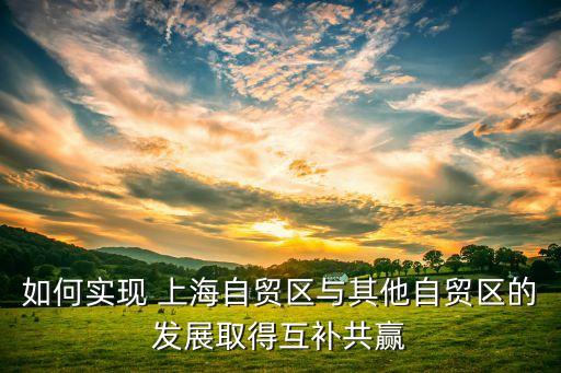 如何實現(xiàn) 上海自貿(mào)區(qū)與其他自貿(mào)區(qū)的發(fā)展取得互補共贏