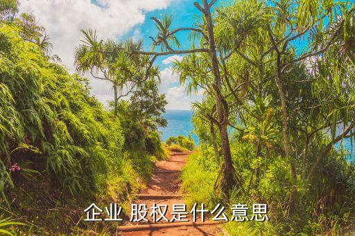 企業(yè) 股權是什么意思