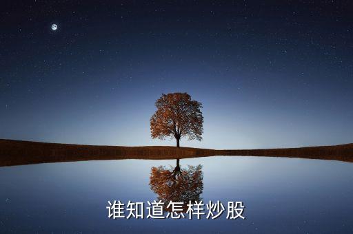 誰(shuí)知道怎樣炒股