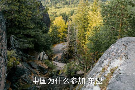 東盟與中國自由貿易區(qū)協定,東盟是自由貿易區(qū)還是經濟聯盟