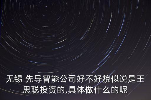 無(wú)錫 先導(dǎo)智能公司好不好貌似說(shuō)是王思聰投資的,具體做什么的呢