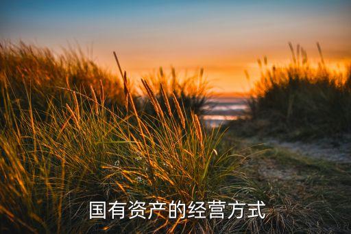  國有資產(chǎn)的經(jīng)營(yíng)方式