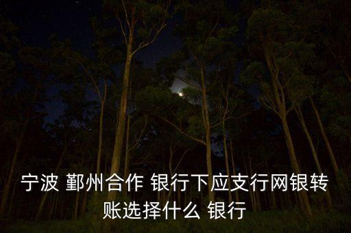 寧波 鄞州合作 銀行下應支行網(wǎng)銀轉(zhuǎn)賬選擇什么 銀行