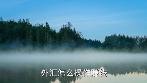  外匯怎么操作賺錢(qián)