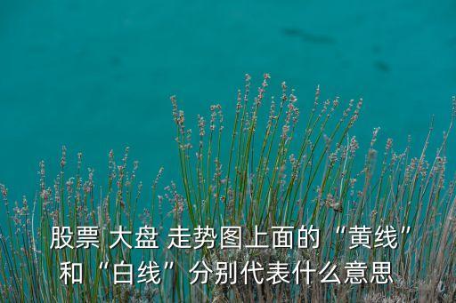  股票 大盤(pán) 走勢(shì)圖上面的“黃線(xiàn)”和“白線(xiàn)”分別代表什么意思