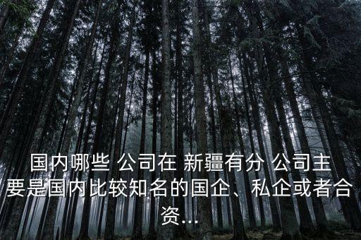 國內(nèi)哪些 公司在 新疆有分 公司主要是國內(nèi)比較知名的國企、私企或者合資...