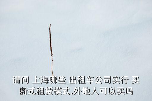 請(qǐng)問(wèn) 上海哪些 出租車(chē)公司實(shí)行 買(mǎi)斷式租賃模式,外地人可以買(mǎi)嗎