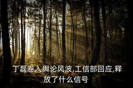 上海丁磊營(yíng)銷案例