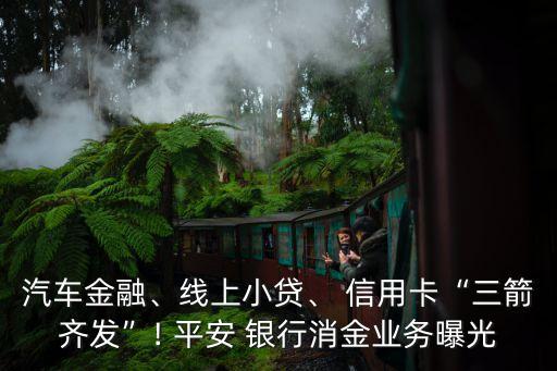 汽車金融、線上小貸、 信用卡“三箭齊發(fā)”! 平安 銀行消金業(yè)務(wù)曝光