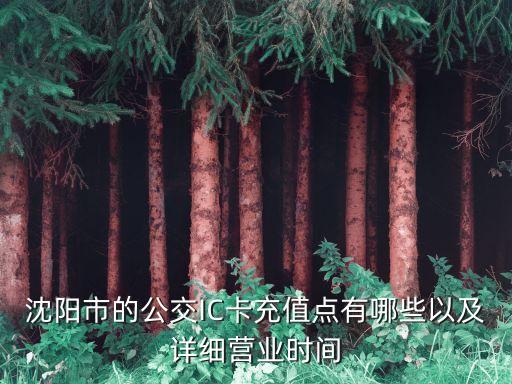 沈陽市的公交IC卡充值點有哪些以及詳細(xì)營業(yè)時間