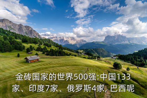 金磚國家的世界500強:中國133家、印度7家、俄羅斯4家, 巴西呢