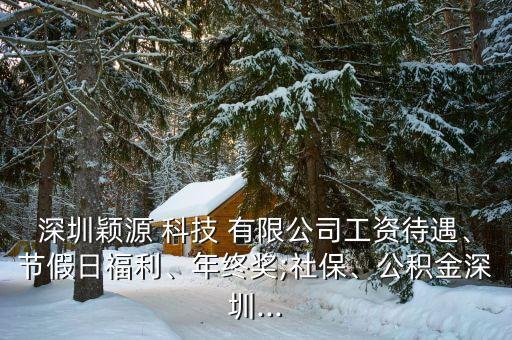 深圳穎源 科技 有限公司工資待遇、節(jié)假日福利、年終獎;社保、公積金深圳...