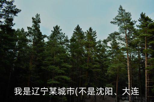 我是遼寧某城市(不是沈陽、大連
