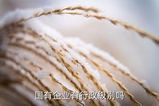 國有企業(yè)有行政級(jí)別嗎