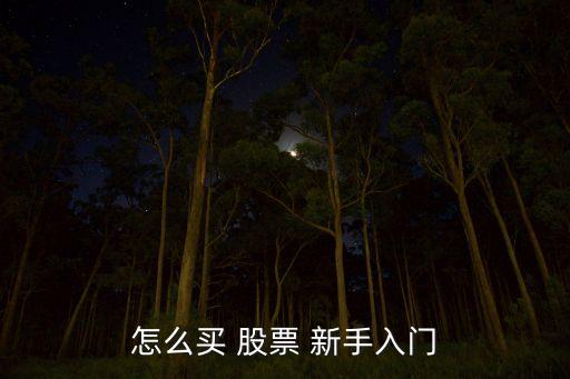 怎么買(mǎi) 股票 新手入門(mén)
