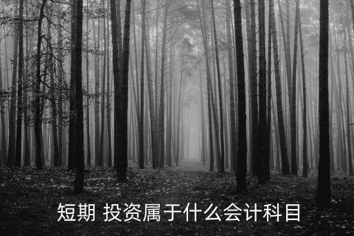 短期 投資屬于什么會計(jì)科目