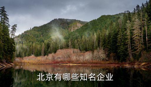 振戎石化倉(cāng)儲(chǔ)有限公司,東莞市百安石化倉(cāng)儲(chǔ)有限公司