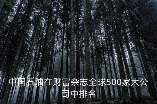 中國石油在財(cái)富雜志全球500家大公司中排名