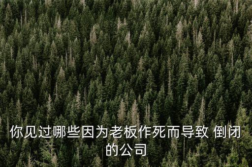 你見過哪些因?yàn)槔习遄魉蓝鴮?dǎo)致 倒閉的公司