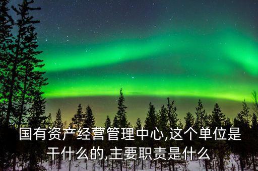  國有資產(chǎn)經(jīng)營(yíng)管理中心,這個(gè)單位是干什么的,主要職責(zé)是什么