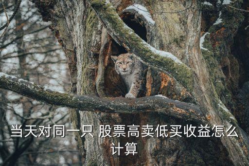 股票當日收益率,股票收益率在哪里查看