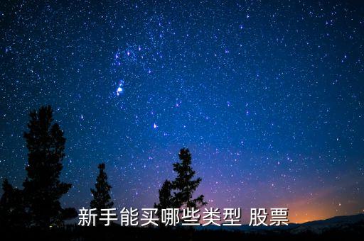  新手能買(mǎi)哪些類(lèi)型 股票