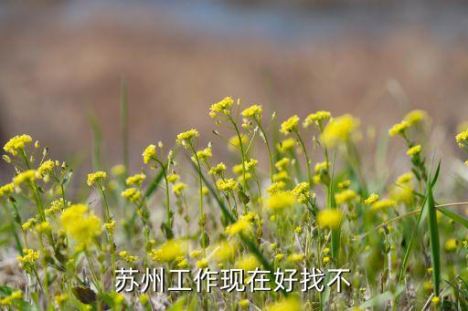蘇州工作現在好找不