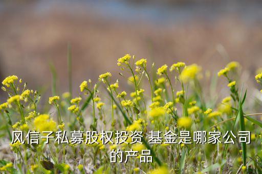 國創(chuàng)開元母基金,國開開元基金董事長(zhǎng)