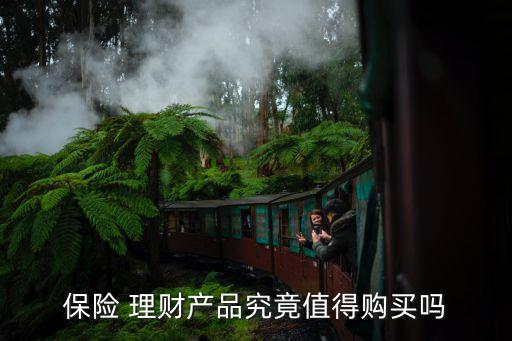 保險(xiǎn) 理財(cái)產(chǎn)品究竟值得購買嗎