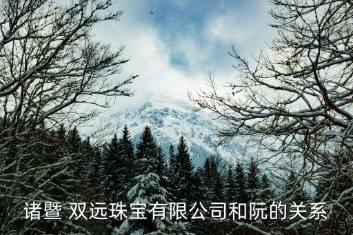 重慶雙遠(yuǎn)集團(tuán),重慶同遠(yuǎn)攝影集團(tuán)