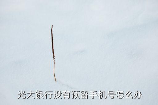  光大銀行沒有預(yù)留手機(jī)號(hào)怎么辦