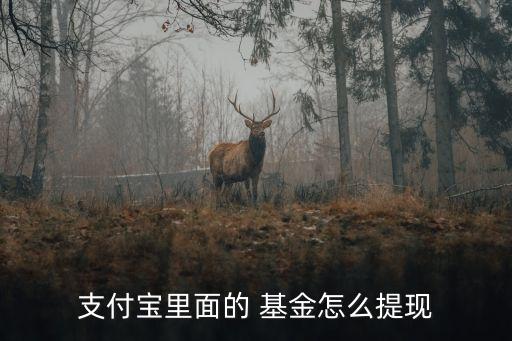 基金現金紅利領取方式,支付寶基金現金紅利去哪里了