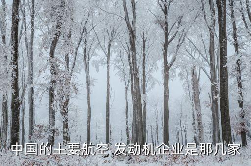 中國的主要航空 發(fā)動機(jī)企業(yè)是那幾家