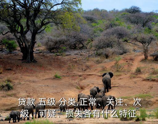  貸款 五級 分類,正常、關注、次級、可疑、損失各有什么特征
